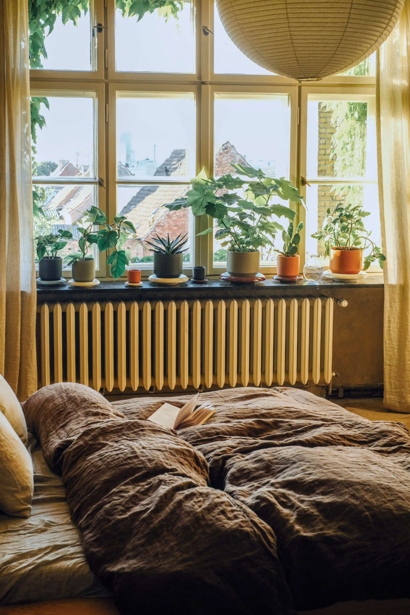 Soverom med mange grønne planter i vinduskarmen