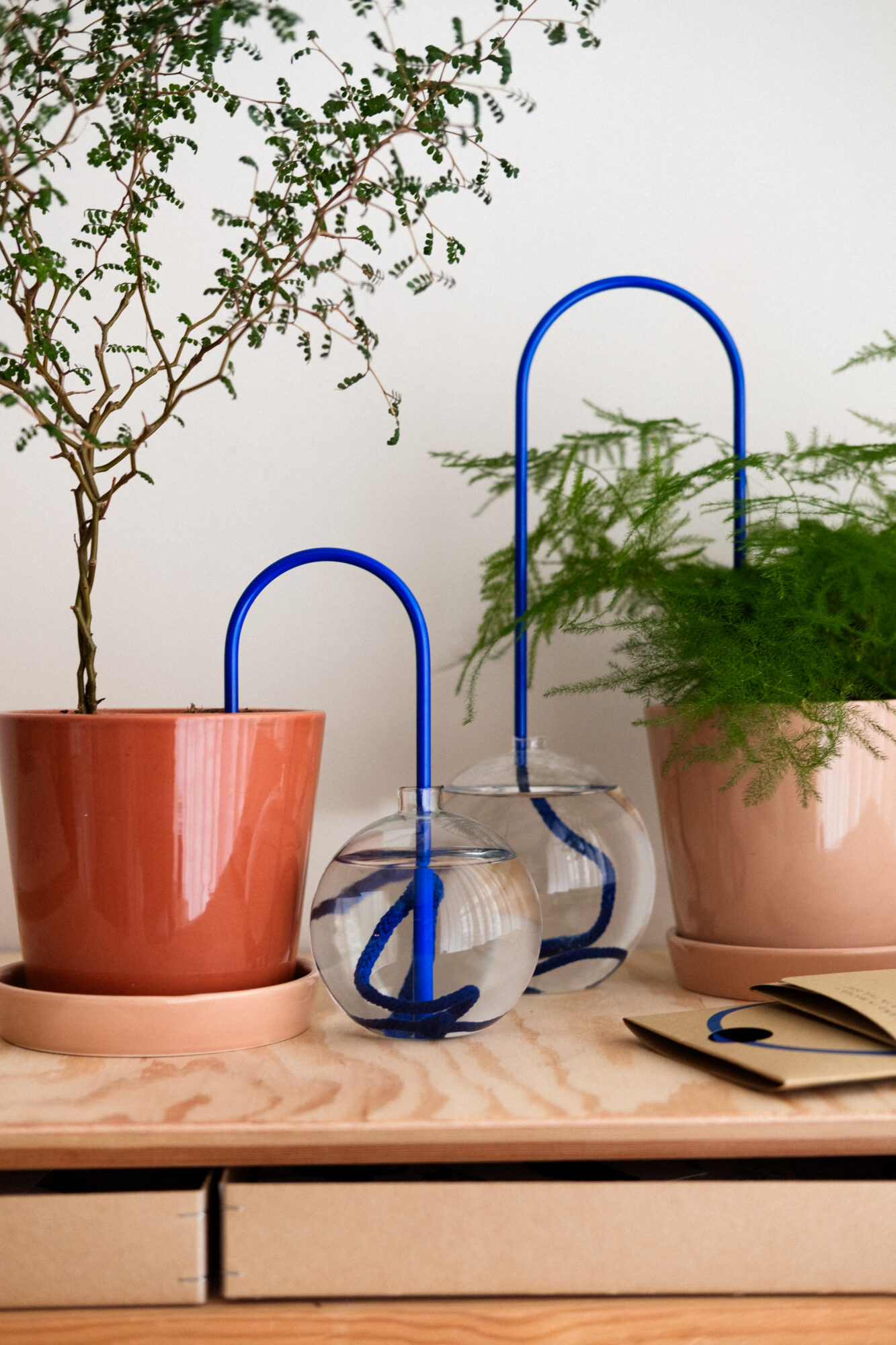 Potteplanter som vannes med Plantstraws.