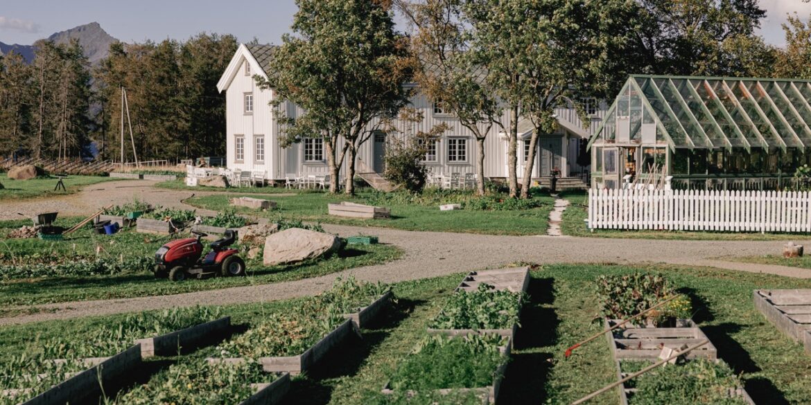 Grønnsakshagen til Kvitnes Gård, Vesterålen