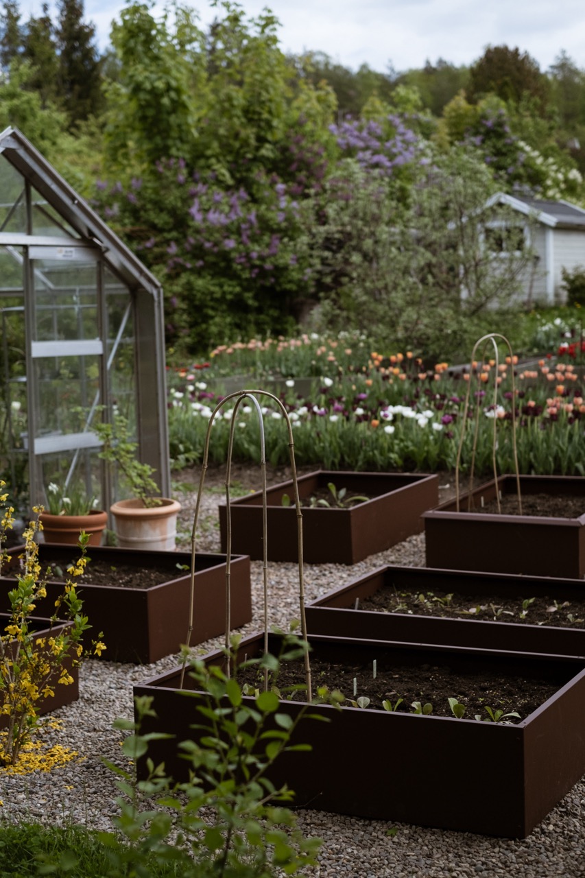 Plantekasser i en kjøkkenhage