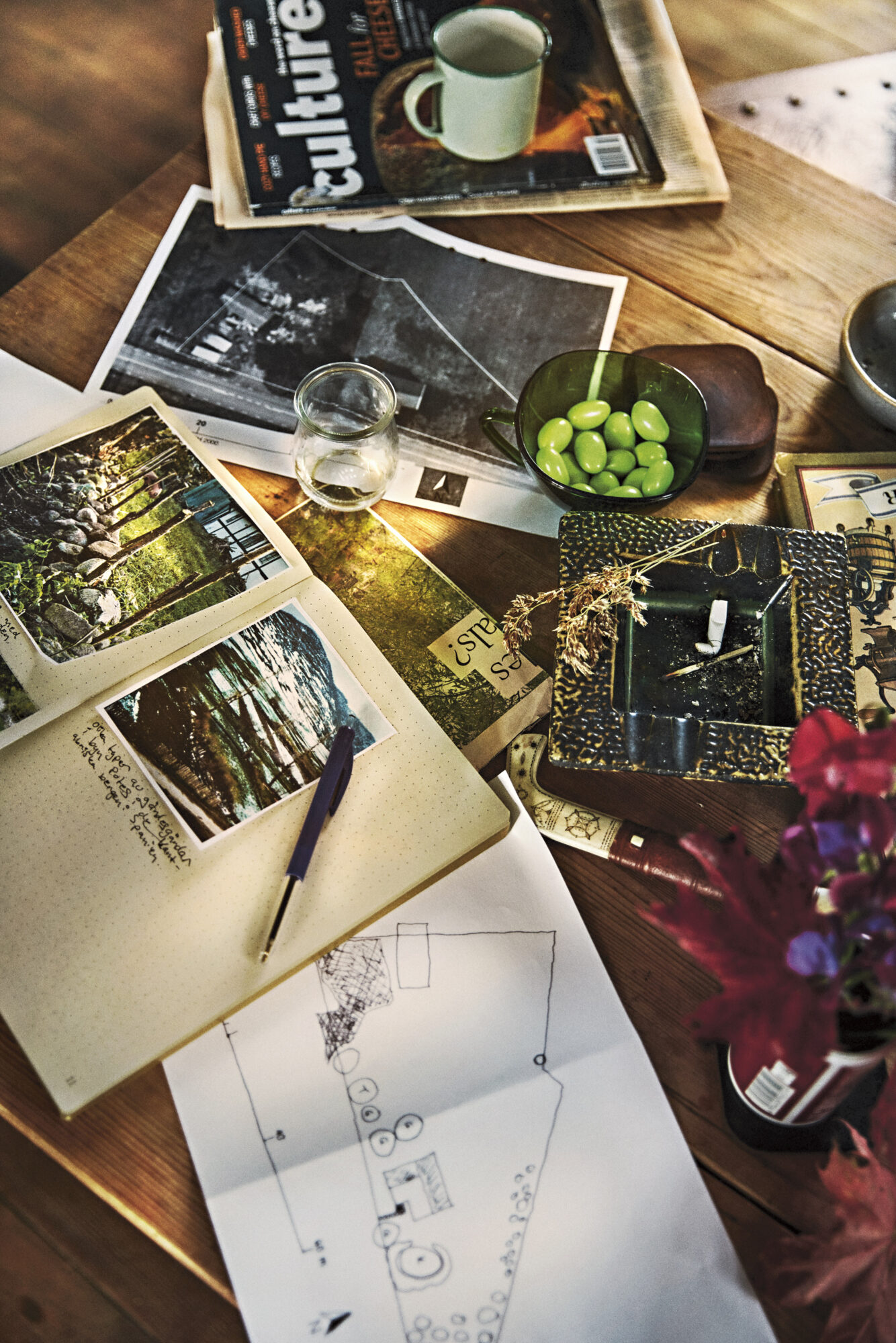 Fra boken En egen trädgård av Elin Unnes, forlag Natur & Kultur, foto Calle Stoltz